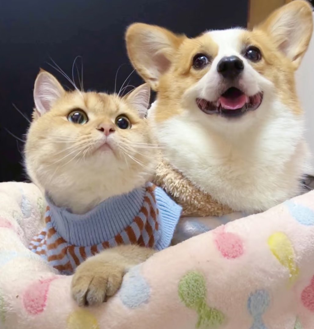 1762329001578621.jpg 002.jpg